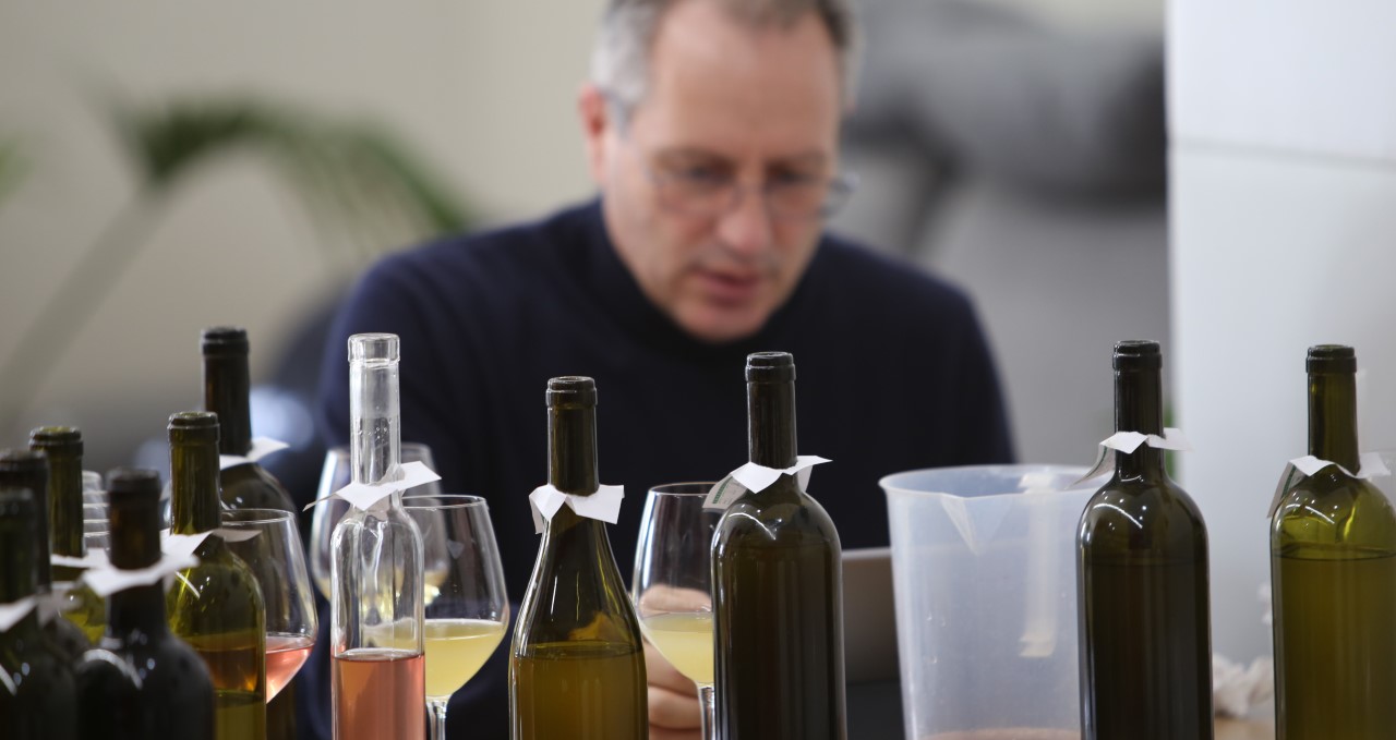 Cosa è il Barbera del Sannio